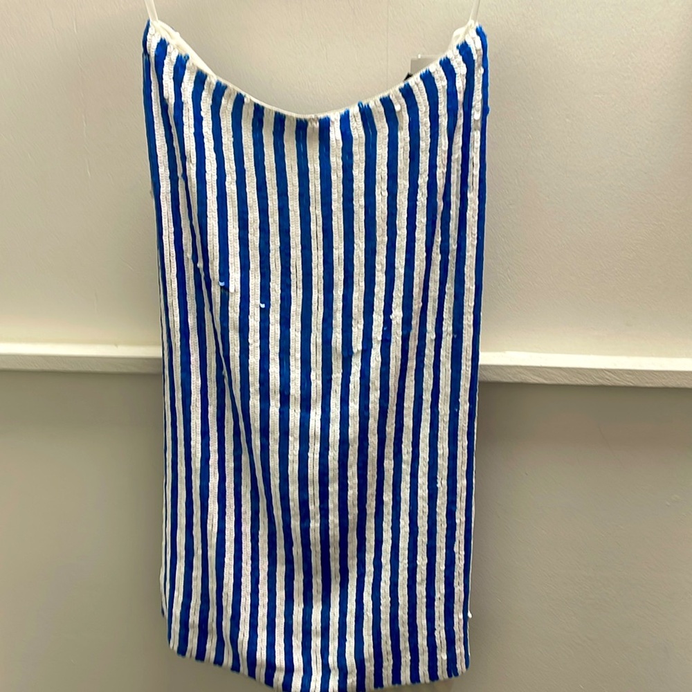 J. Crew Blue and White Striped Skirt